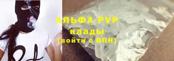 хмурый Алексин