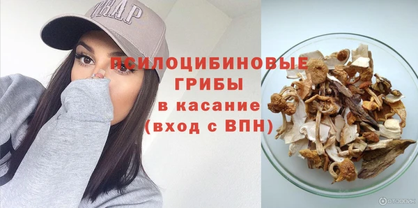прущие крисы Алексеевка