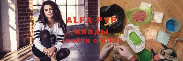 хмурый Алексин