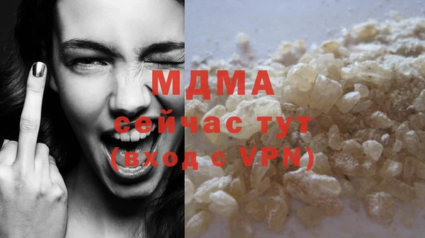 хмурый Алексин