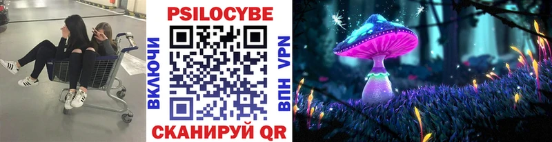гидра ссылки  Нижний Тагил  Галлюциногенные грибы Magic Shrooms 